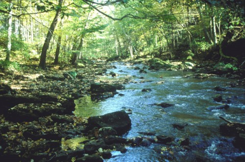 John Bryan State Park Yellow Springs, Ohio