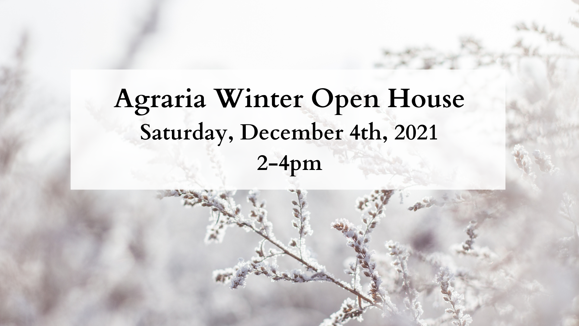 Agraria Winter Open House